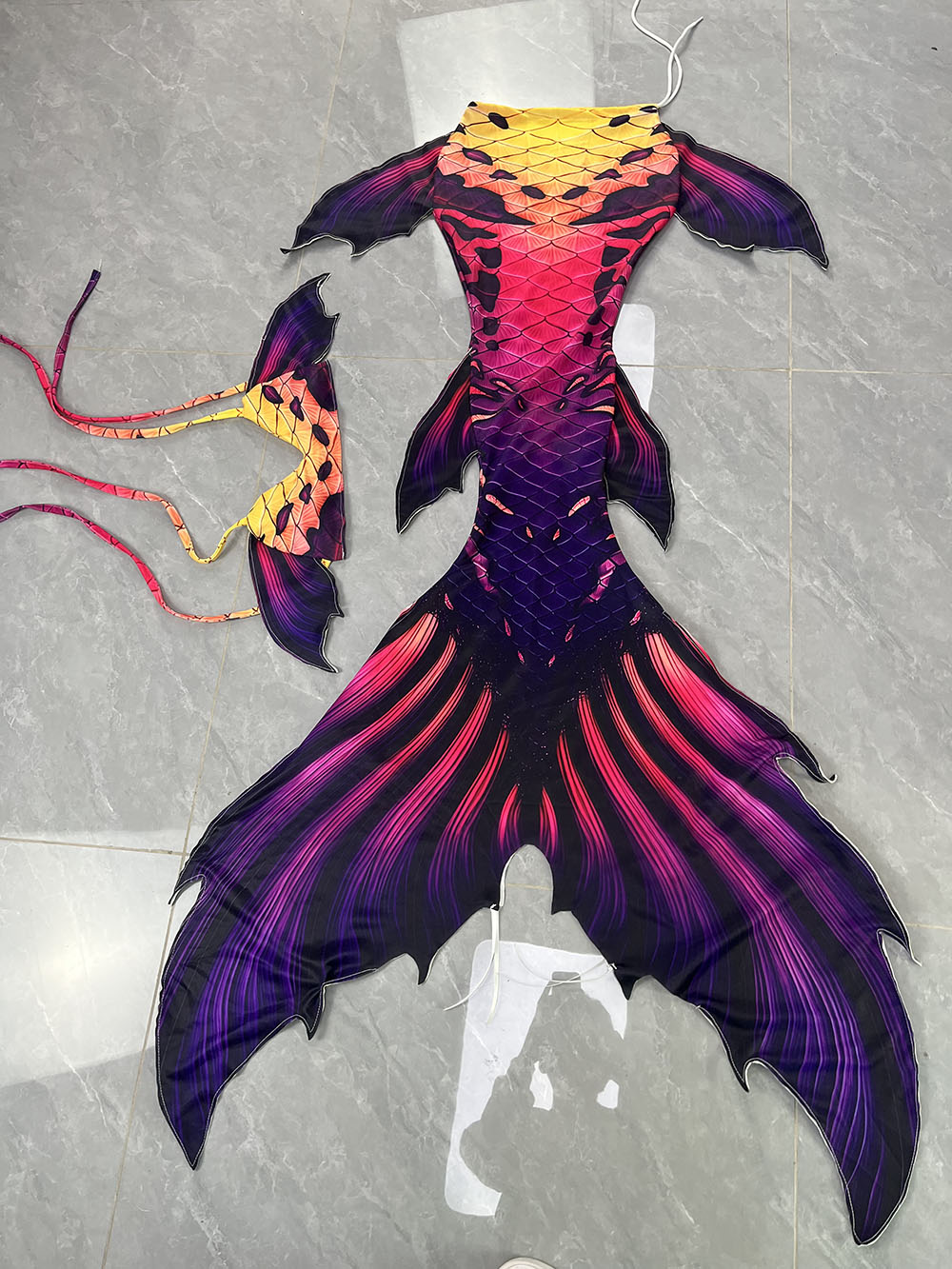 Aquarium & Marine Museum Universiti Malaysia Sabah Kota Kinabalu Sabah - Original Color Mermaid Tail Mermaid Fish
