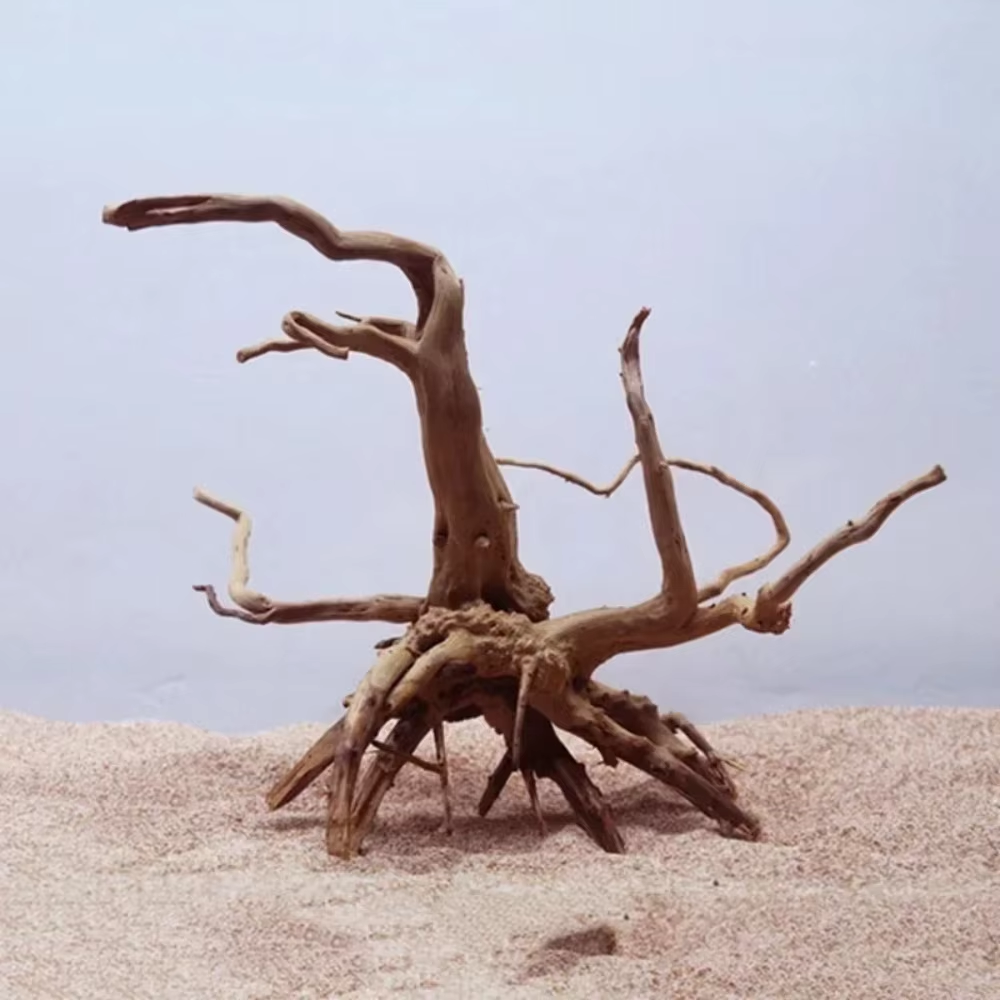 Aquarium Marine Fish - 15-20CM Natural Driftwood Aquarium Decor -