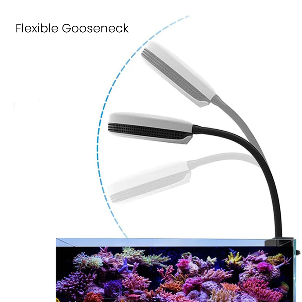 Spectra SP20 20W Aquarium LED  - đánh giá và giá Aquarium Marine Lights