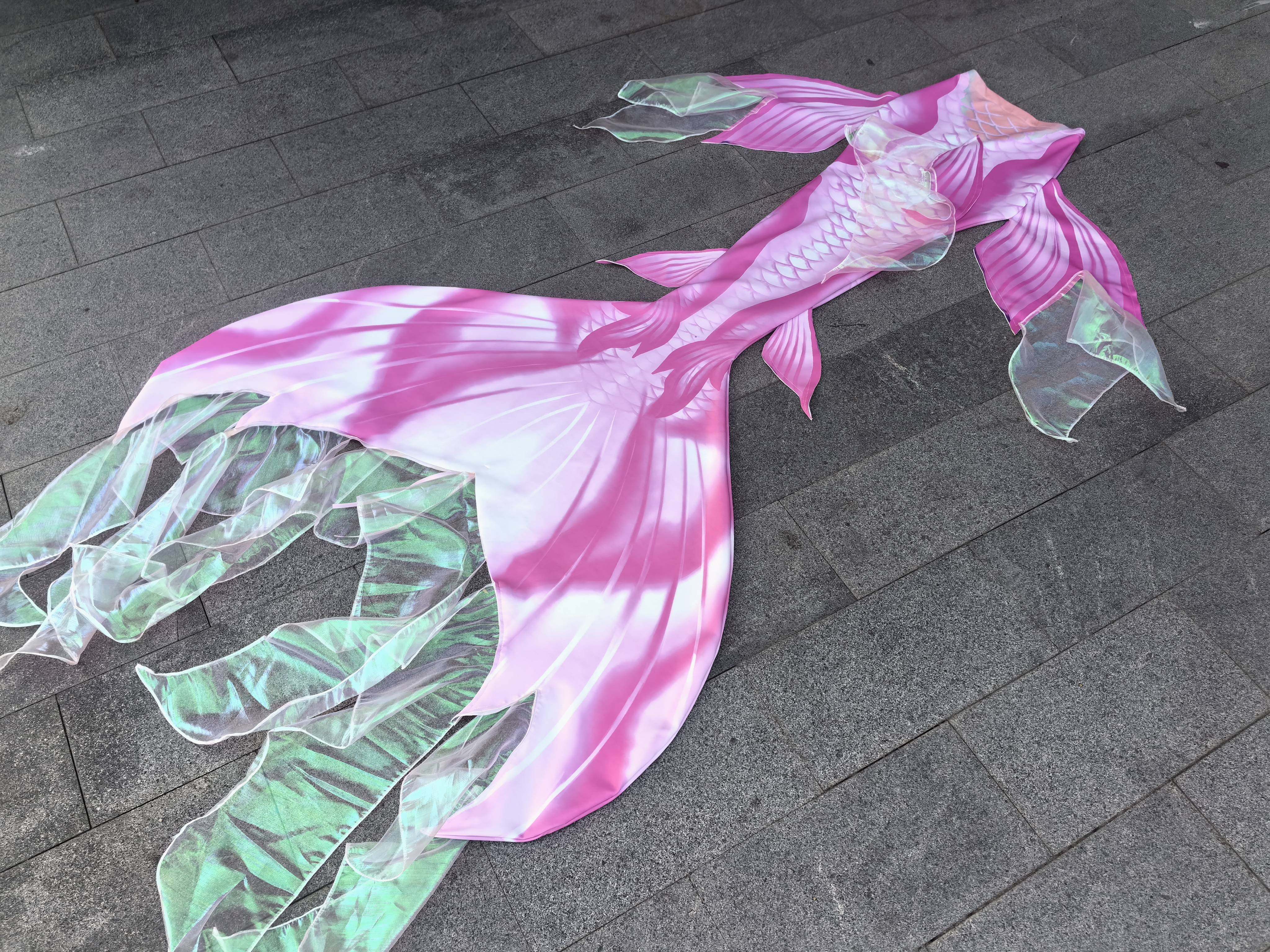 Mermaid Tail Swimsuit Aquarium - đánh giá và giá Aquarium & Marine Museum Universiti Malaysia Sabah Kota Kinabalu Sabah