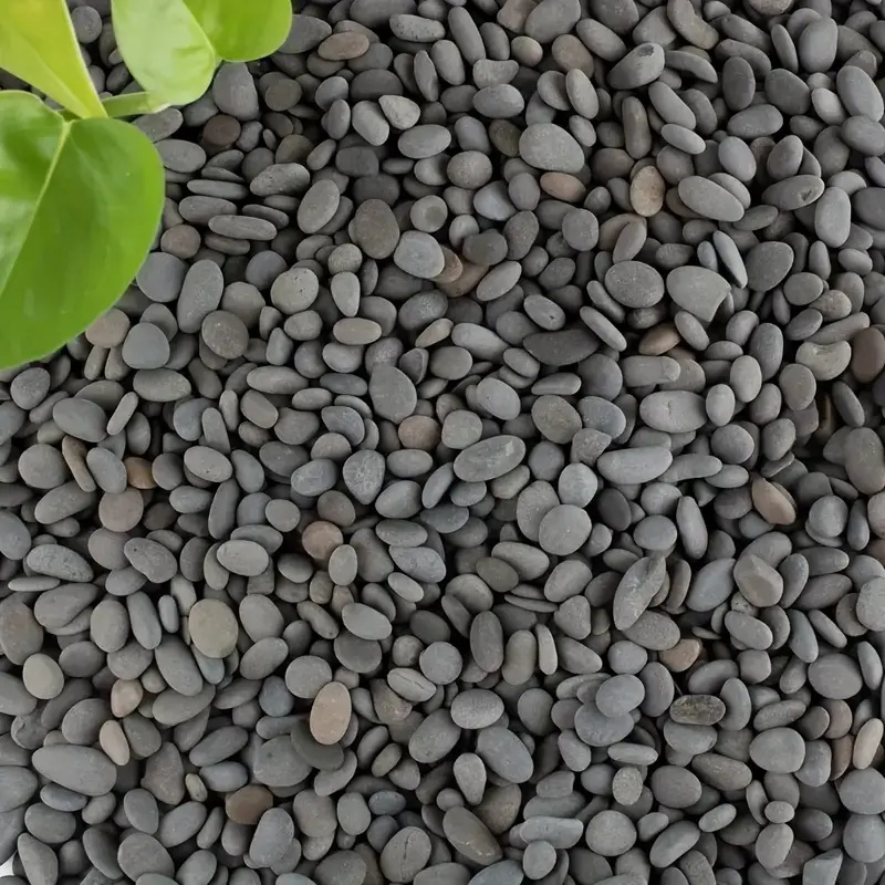 20Pcs Natural River Rocks Smoo - đánh giá và giá Aquarium Marine Fish