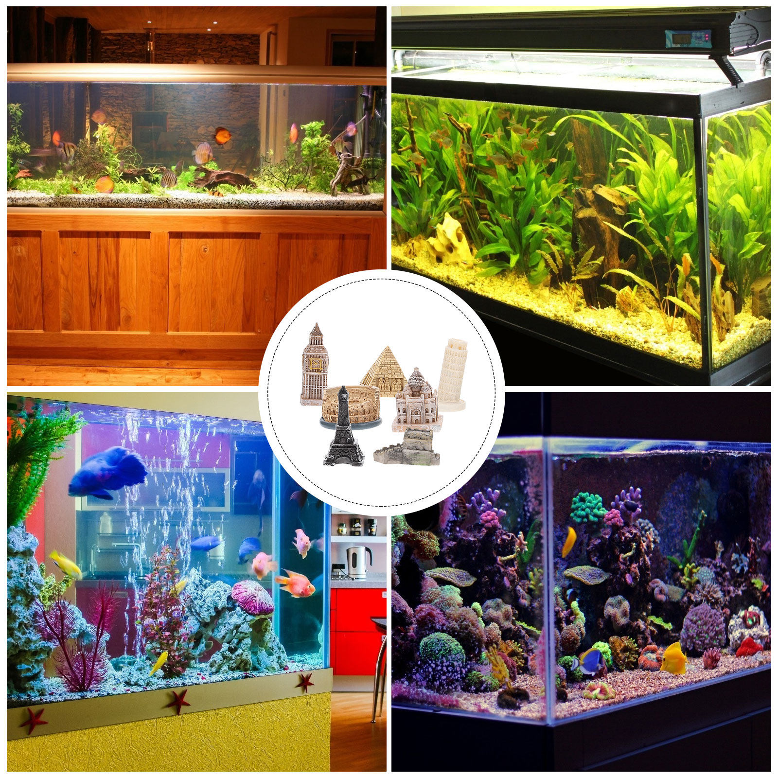 7Pcs Roman Sculpture Set Minia - đánh giá và giá Aquarium & Marine Museum Universiti Malaysia Sabah Kota Kinabalu Sabah