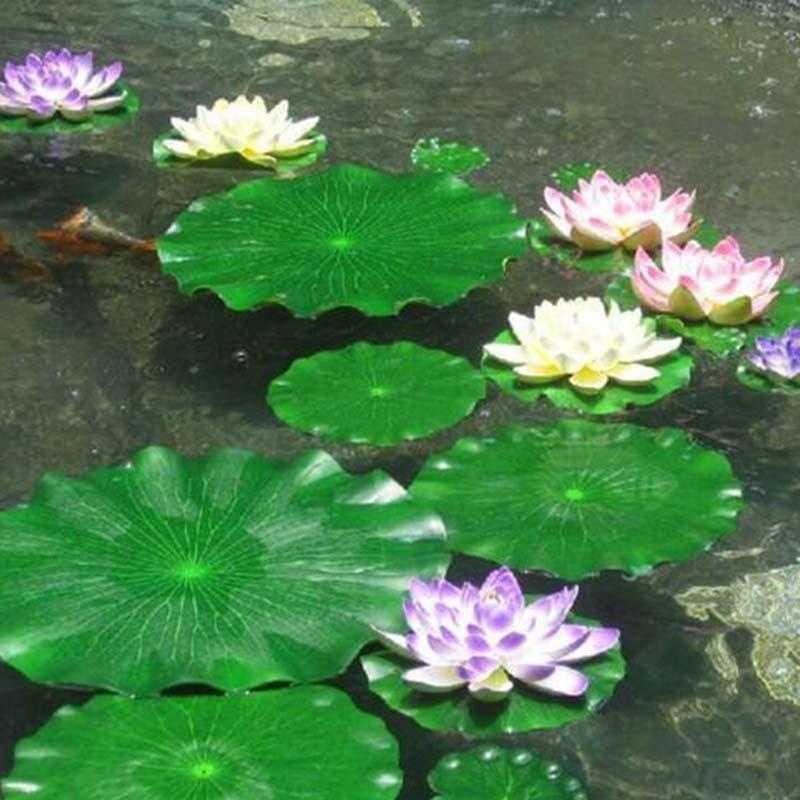 2026 Artificial Water Lily Lot - đánh giá và giá Aquarium Marine Fish