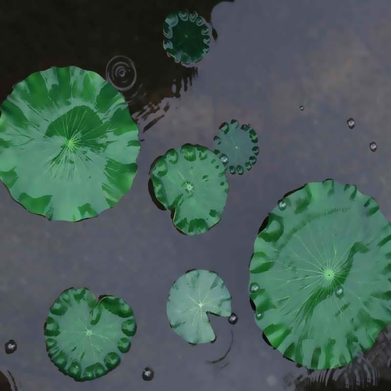 2026 Artificial Water Lily Lot - đánh giá và giá Aquarium Marine Fish