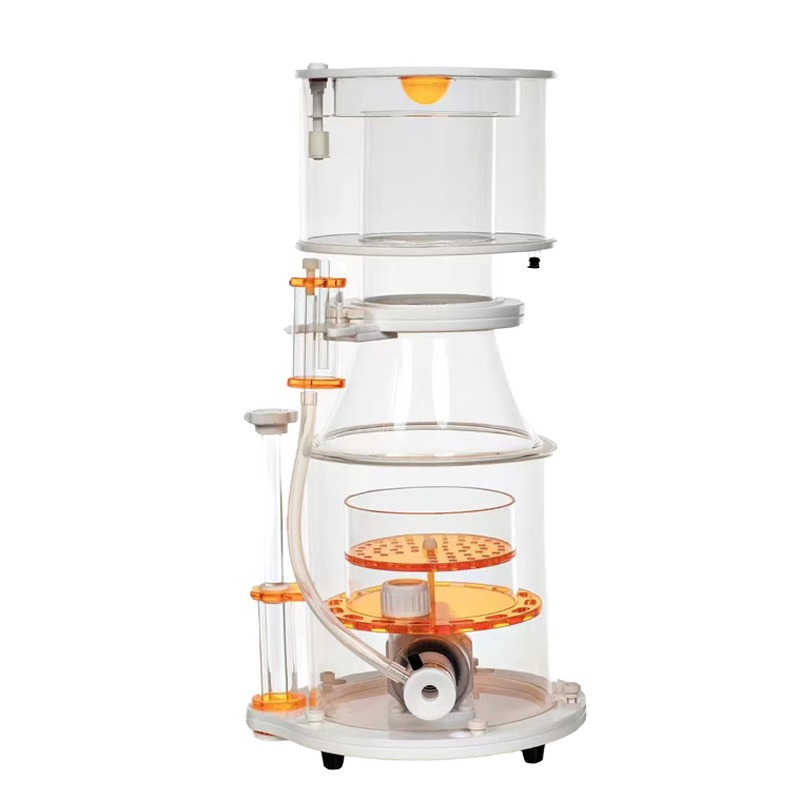 【Best-selling】DC Powered Preci - đánh giá và giá Marine Aquarium & Regional Centre Photos