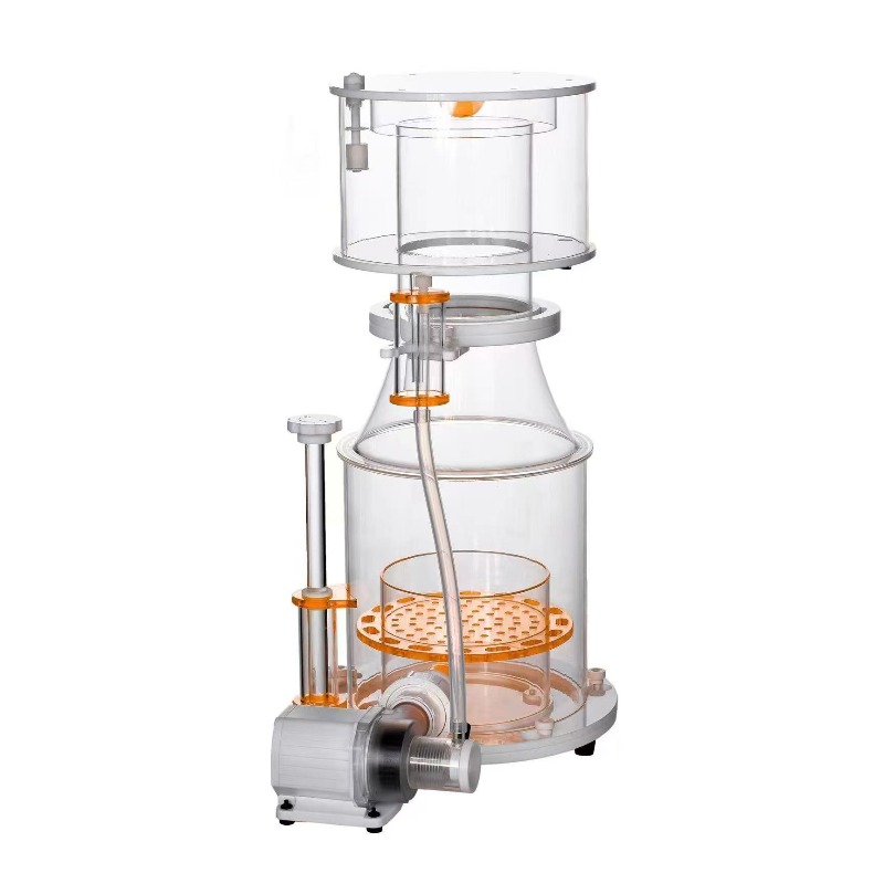【Best-selling】DC Powered Preci - đánh giá và giá Marine Aquarium & Regional Centre Photos