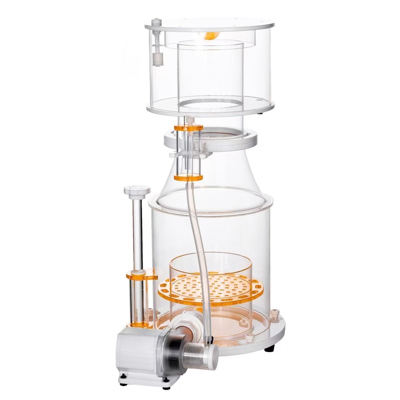 【Best-selling】DC Powered Preci - đánh giá và giá Marine Aquarium & Regional Centre Photos