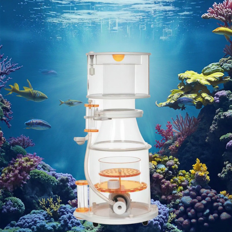 【Best-selling】DC Powered Preci - đánh giá và giá Marine Aquarium & Regional Centre Photos