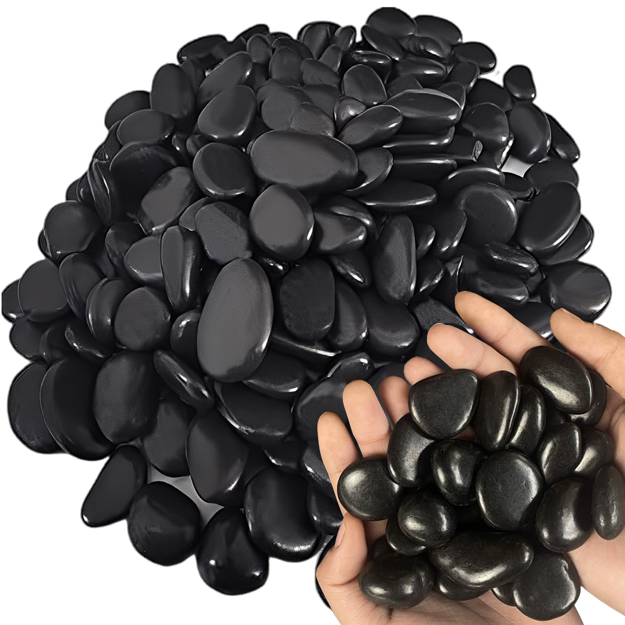200g Black High Polished Natur - đánh giá và giá Aquarium Marine Fish