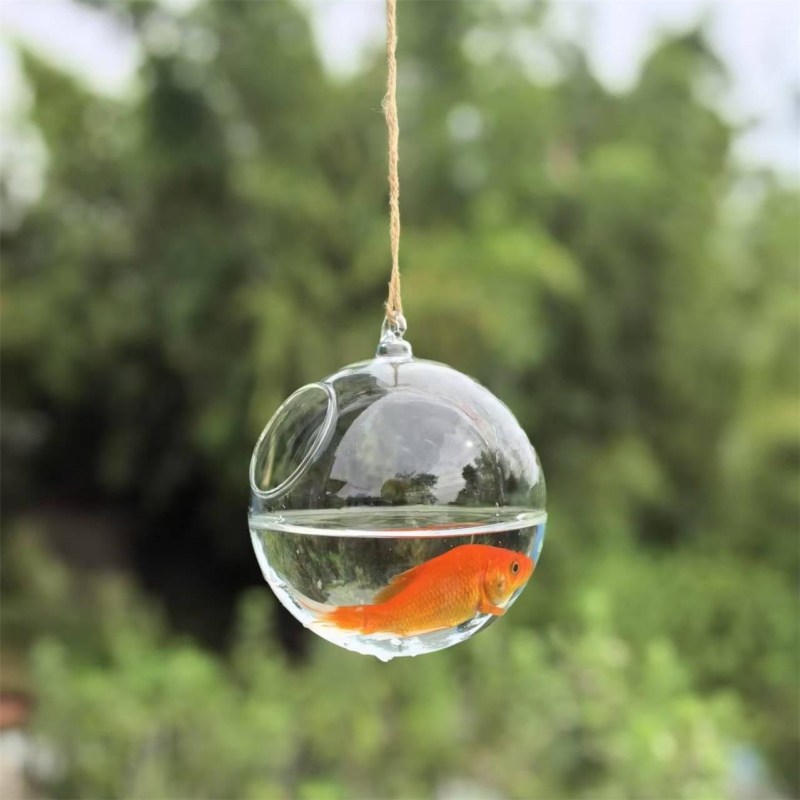 Small Packing Diameter=10cm 12 - đánh giá và giá Aquarium & Marine Museum Universiti Malaysia Sabah Kota Kinabalu Sabah