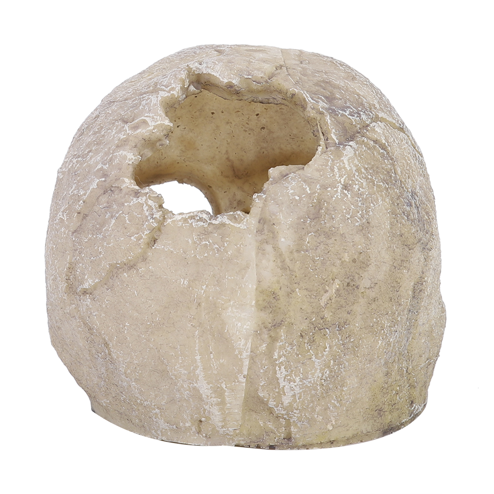 Resin Simulated Head Bone Skul - đánh giá và giá Aquarium Marine Fish