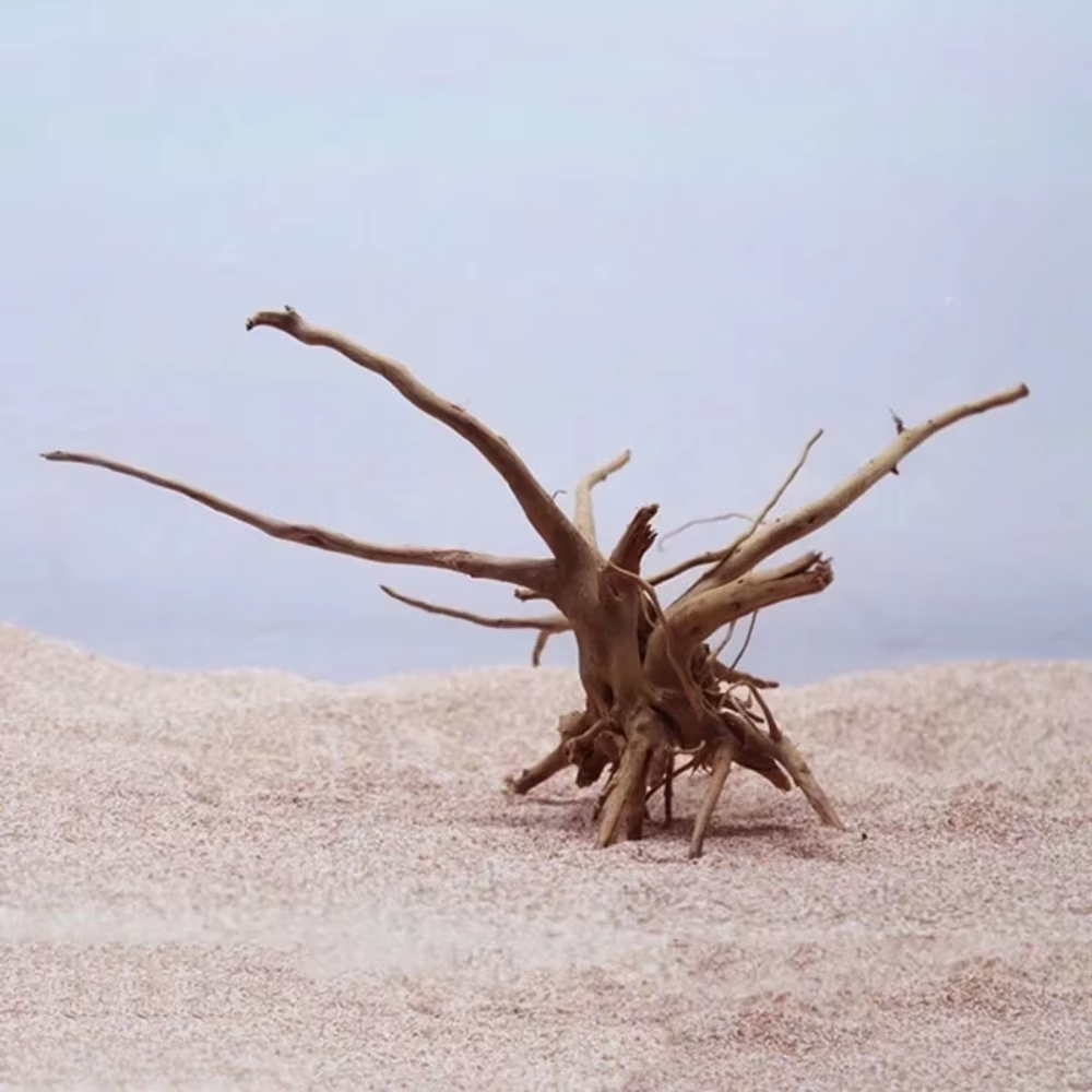 15-20CM Natural Driftwood Aqua - đánh giá và giá Aquarium Marine Fish