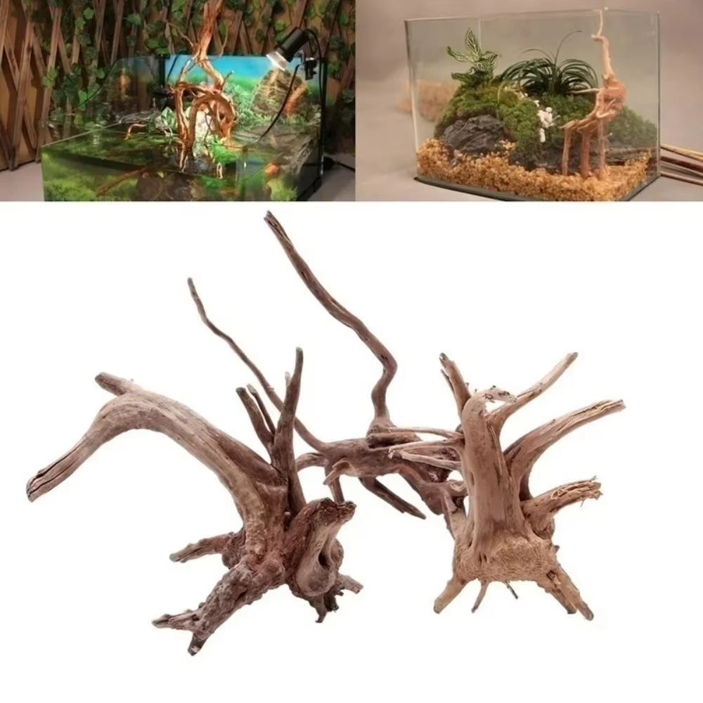 15-20CM Natural Driftwood Aqua - đánh giá và giá Aquarium Marine Fish