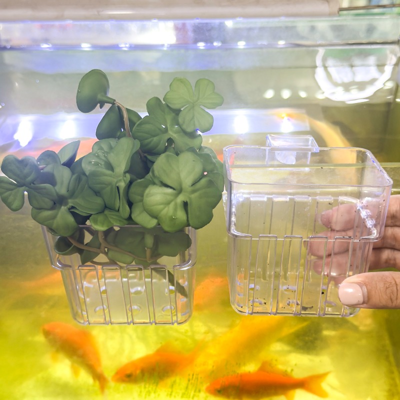 1/5pcs Aquarium Decoration Pla - đánh giá và giá Aquarium Marine Fish