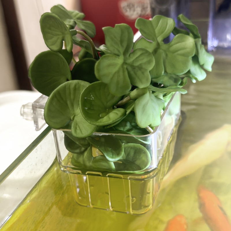 1/5pcs Aquarium Decoration Pla - đánh giá và giá Aquarium Marine Fish