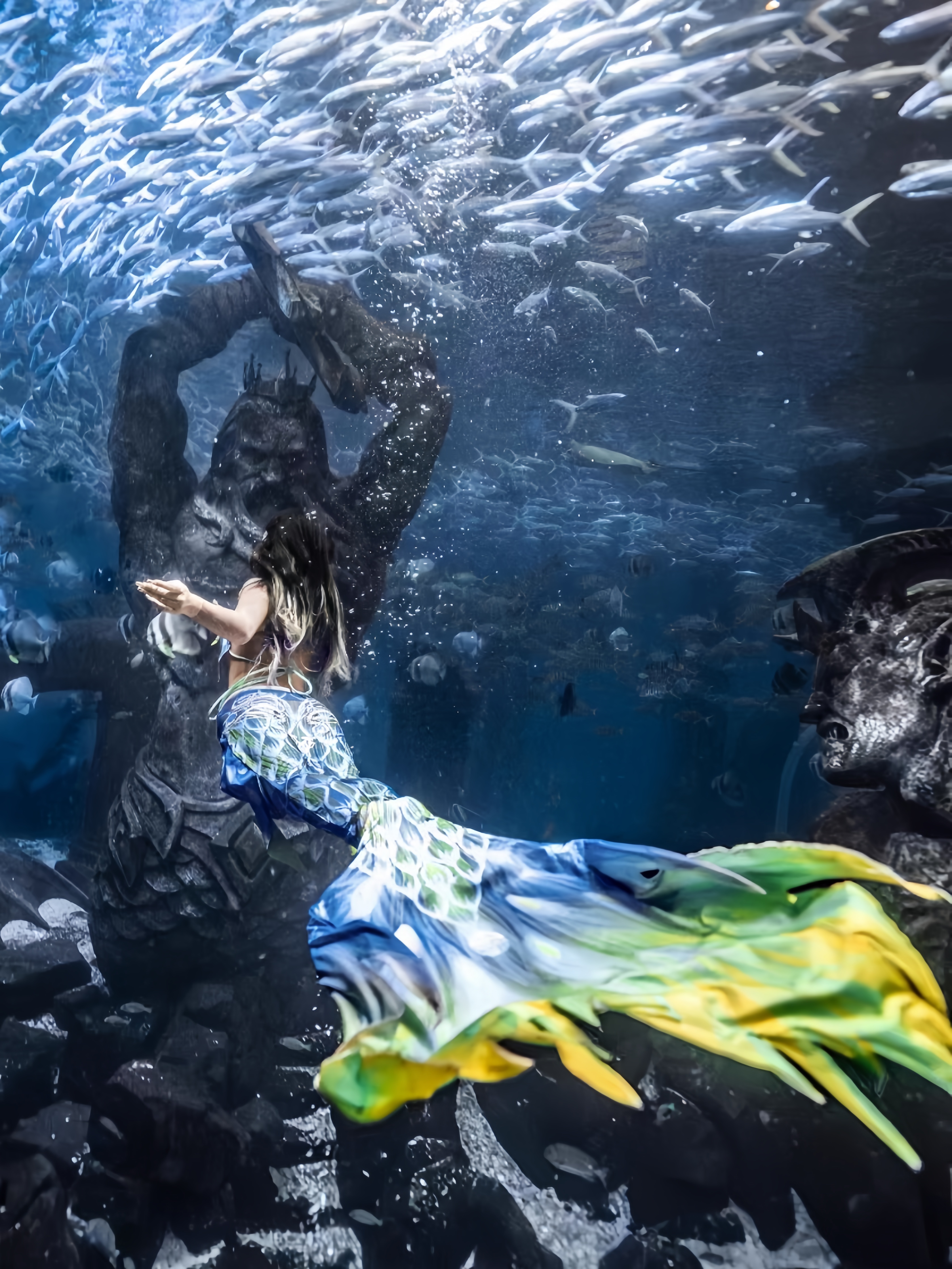 Mermaid Tail Adult Ladies Swim - đánh giá và giá Aquarium & Marine Museum Universiti Malaysia Sabah Kota Kinabalu Sabah