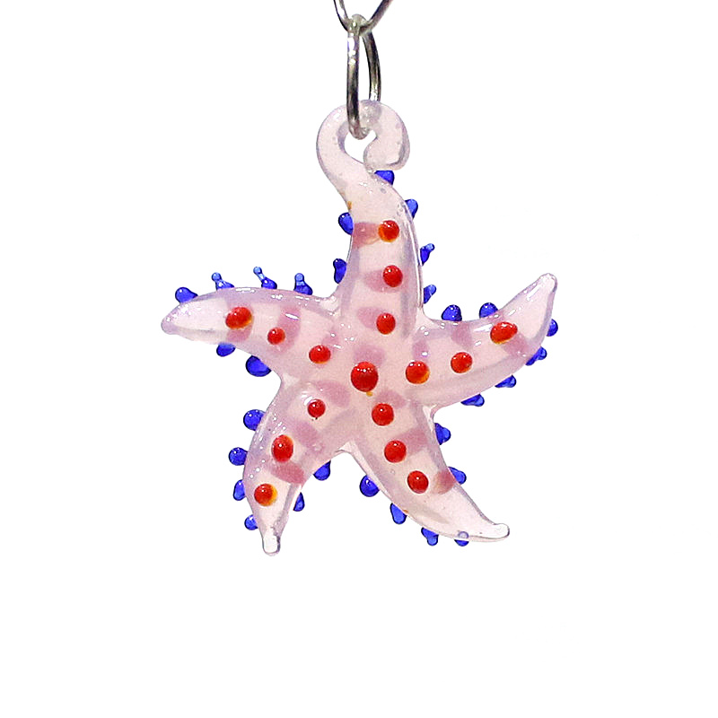 Cute Marine Animal Starfish Ch - đánh giá và giá Marine Aquarium & Regional Centre Photos