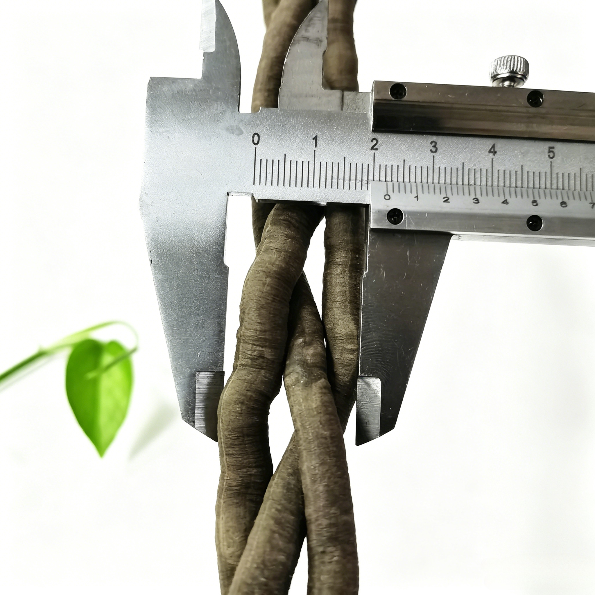 100cm Artificial Vine Plant Cl - đánh giá và giá Aquarium Marine Fish